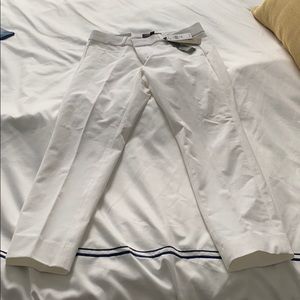 Banana Republic Sloan Fit - Petite